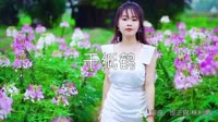 超清MV-小阿枫 - 千纸鹤(DJ沈念版)户外美女超清MV视频