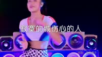 超清MV-赵蕾蕾-寂寞的城伤心的人 (DJ何鹏 Remix)热舞美女超清音乐MV 超清音乐MV MV音乐在线观看