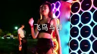 超清1080p无水印-任然 - 飞鸟与蝉 McYy Remix热舞美女DJ视频下载