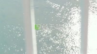 抖音热播- 曲肖冰 - 厚颜无耻-YU Remix_2021户外美女车载视频 未知 MV音乐在线观看
