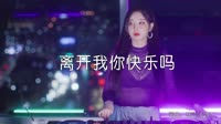 虎二 - 离开我你快乐吗（DJ名龙Mix）打碟美女车载DJ视频