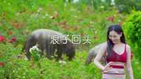 王玉萌 - 浪子回头 - DJ阿帆（Remix 2K19弹）户外美女超清MV视频 未知 MV音乐在线观看