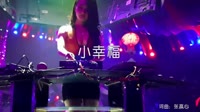 徐菲琳-小幸福-DJ何鹏-夜店美女现场车载dj视频