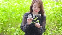 阿悠悠 - 一曲相思(Dj贺仔 Krk Studio Rmx 2019)小姐姐外拍车载视频
