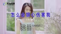 郑源丨怎么会狠心伤害我丨DJ版丨完整版MV