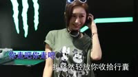 吴雪松 - 你走吧 (DJ heap九天版)美女打碟车载dj视频