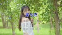 闻人听書 - 虞兮叹 ( DJ小嘉&DJ细文 2K21 ProgHouse Mix )写真车载视频