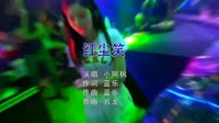 小阿枫 - 红尘笑 (DJ名龙版)美女酒吧夜店dj视频下载