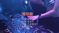 Avi-mp4-苏谭谭 - 情难断 (DJ阿华 Electro Mix)美女夜店打碟车载视频
