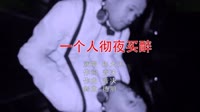 Avi-mp4-彤大王 - 一个人彻夜买醉 (DJ德朋版)美女夜店车载dj视频