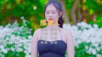 Avi-mp4-桂羽七 - 想某人 (DJ赫赫 ProgHouse Mix)美女户外车载DJ视频