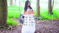 Avi-mp4-樊少华 拉拉呱 McYy Remix美女写真车载视频
