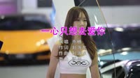 Avi-mp4-燕栖 - 一心只想去爱你 (DJ默涵版)美女车模车载视频