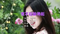 Avi-mp4-王莎莎 - 惹不起躲得起 (DJ何鹏版)美女车模车载dj视频