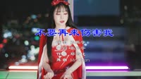 Avi-mp4-张振宇 - 不要再来伤害我 (DjMr.Chen Electro Mix)美女打碟dj视频下载