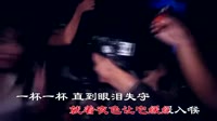 Avi-mp4-魏佳艺 - 相思入喉(DJ沈念版)韩国美女劲舞夜店车载视频 未知 MV音乐在线观看