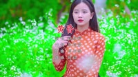 Avi-mp4-姚斯婷 - 黄昏 (DJ阿福 2017 Remix)写真美女车载dj视频
