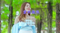 Avi-mp4-祁隆、吴聪 - 爱的期限 (DJ吴聪版)漂亮小姐姐车载dj视频