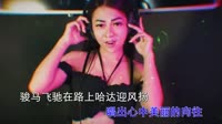 Avi-mp4-张冬玲、阿宝、吴聪 - 一路歌唱 (DJ吴聪版)小姐姐打碟车载dj视频