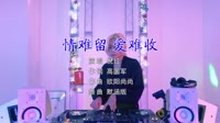 Avi-mp4-倪红 - 情难留 爱难收(DJ默涵版)美女打碟车载视频