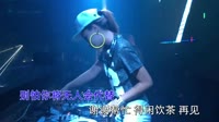 邓岳章 - 情意结 (DJ R7版)打碟美女车载dj视频 未知 MV音乐在线观看