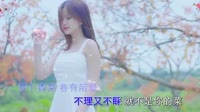 Avi-mp4-王富贵-哪有酒哪儿醉(DJR7版)写真美女车载视频