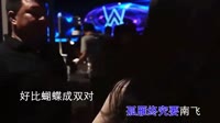 王天冲 - 鸳鸯 (DJ默涵版)夜店美女舞曲视频