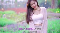 大美 - 不眠不归 (DJ九锐版)美女车载导航视频