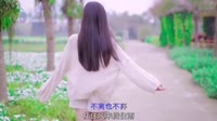 海生、安伟 - 三杯酒(DJ沈念版)漂亮户外美女dj视频下载 未知 MV音乐在线观看
