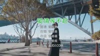 Avi-mp4-蒋蕙林 - 爱情等不起 (DJ版)美眉夜店视频歌曲免费下载