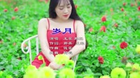 王菲&那英-岁月（Dj阿遣 Remix）1080高清车载视频音乐