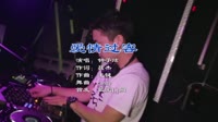 钟子炫 - 爱情过客 (DJ版)(Remix)DJ视频mv