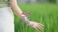 谭艳 - 光明(Dj阿奇 ProgHouse Mix国语女)车载DJ舞曲美女歌曲 未知 MV音乐在线观看