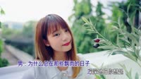 冷漠、杨小曼 - 心雨 (DJ沈念版)1080高清车载视频音乐