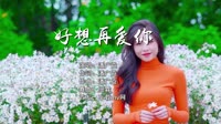 (DJ车载版 Mix)潘广益 - 好想再爱你(Dj细霖 ProgHouse Mix国语男)音乐mv视频素材网站