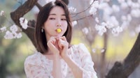 刘嘉亮 - 美丽女人(Dj光头 FunkyHouse Mix国语男)车载mp4视频音乐下载网站