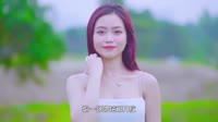 范海荣 - 家乡 (DJ R7版)车载美女mv歌曲视频