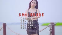 劲爆中文DJ-赵洋 - 孤独的人唱孤独的歌 (DJ默涵版) 未知 MV音乐在线观看