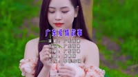 广东雨神 - 广东爱情故事 (DJ阿帆 ProgHouse Mix 粤语男)车载版DJ美女MV