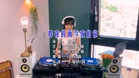 晨熙 - 昨夜的雨今夜的你 (广场舞)(DJ candy版)车载DjMV视频