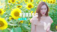 DJ阿远&王羽泽-不是我不爱你 未知 MV音乐在线观看