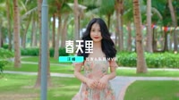 汪峰 - 春天里 (DJ阿帆 Electro Remix 2K23)弹 未知 MV音乐在线观看