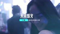 王馨-人间烟火(DJ默涵版)1080高清车载视频音乐