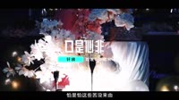 轩姨(相信光)-口是心非(DJ九零版) 未知 MV音乐在线观看